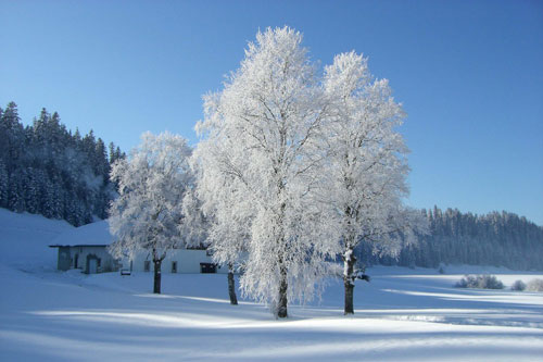 winterbild eins